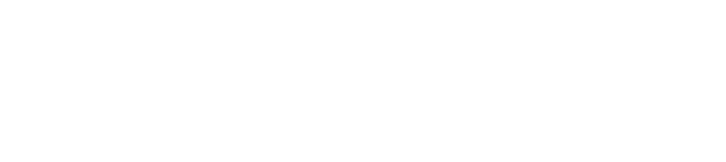 Shiner Law Group, P.A.